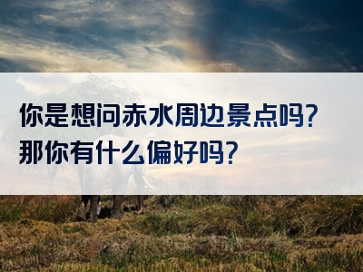 你是想问赤水周边景点吗？那你有什么偏好吗？