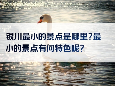 银川最小的景点是哪里？最小的景点有何特色呢？