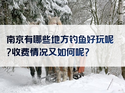 南京有哪些地方钓鱼好玩呢？收费情况又如何呢？