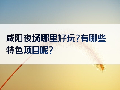 咸阳夜场哪里好玩？有哪些特色项目呢？