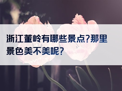 浙江董岭有哪些景点？那里景色美不美呢？