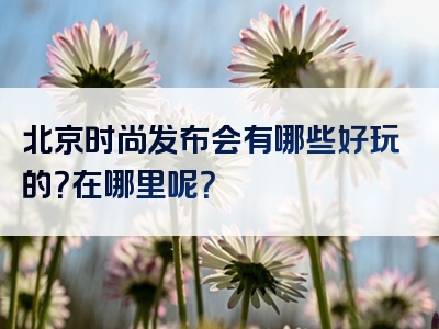 北京时尚发布会有哪些好玩的？在哪里呢？