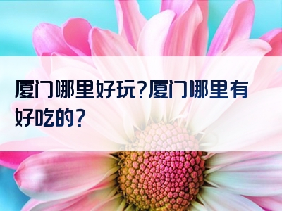 厦门哪里好玩？厦门哪里有好吃的？