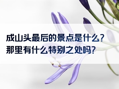 成山头最后的景点是什么？那里有什么特别之处吗？