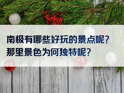 南极有哪些好玩的景点呢？那里景色为何独特呢？