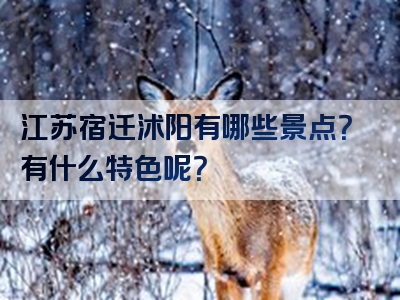 江苏宿迁沭阳有哪些景点？有什么特色呢？
