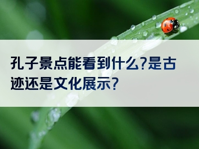 孔子景点能看到什么？是古迹还是文化展示？