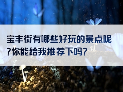 宝丰街有哪些好玩的景点呢？你能给我推荐下吗？