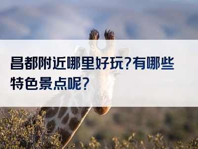 昌都附近哪里好玩？有哪些特色景点呢？