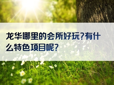 龙华哪里的会所好玩？有什么特色项目呢？