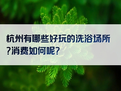 杭州有哪些好玩的洗浴场所？消费如何呢？