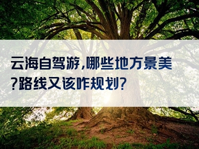 云海自驾游，哪些地方景美？路线又该咋规划？