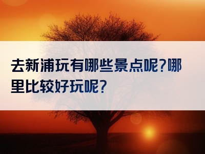 去新浦玩有哪些景点呢？哪里比较好玩呢？