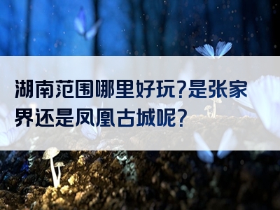 湖南范围哪里好玩？是张家界还是凤凰古城呢？