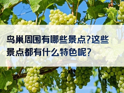 鸟巢周围有哪些景点？这些景点都有什么特色呢？