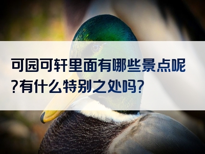 可园可轩里面有哪些景点呢？有什么特别之处吗？