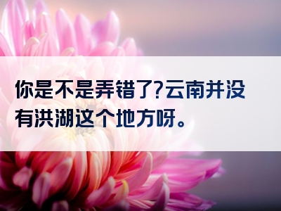 你是不是弄错了？云南并没有洪湖这个地方呀。