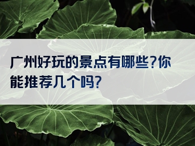 广州好玩的景点有哪些？你能推荐几个吗？