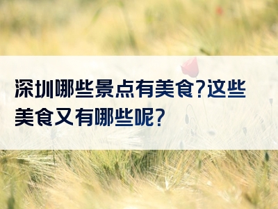 深圳哪些景点有美食？这些美食又有哪些呢？