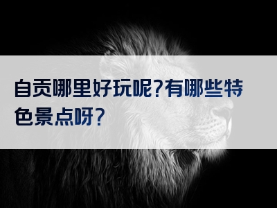 自贡哪里好玩呢？有哪些特色景点呀？