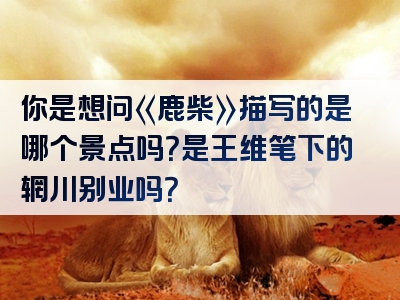 你是想问《鹿柴》描写的是哪个景点吗？是王维笔下的辋川别业吗？