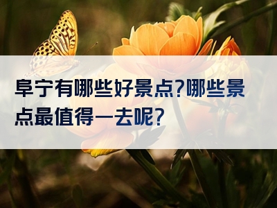 阜宁有哪些好景点？哪些景点最值得一去呢？