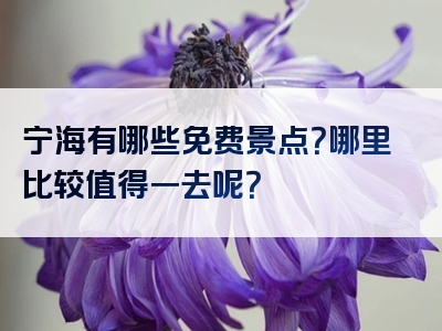 宁海有哪些免费景点？哪里比较值得一去呢？