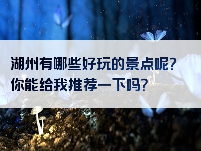 湖州有哪些好玩的景点呢？你能给我推荐一下吗？