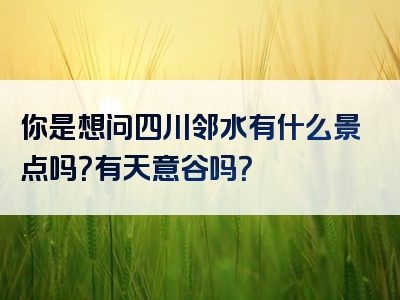 你是想问四川邻水有什么景点吗？有天意谷吗？