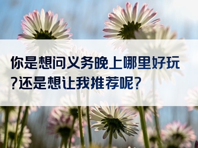 你是想问义务晚上哪里好玩？还是想让我推荐呢？