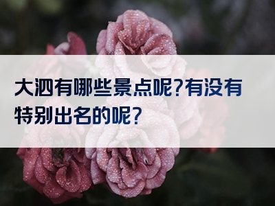 大泗有哪些景点呢？有没有特别出名的呢？