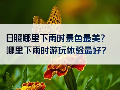 日照哪里下雨时景色最美？哪里下雨时游玩体验最好？