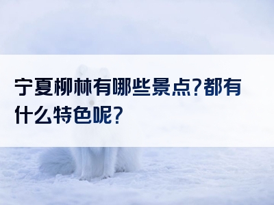 宁夏柳林有哪些景点？都有什么特色呢？