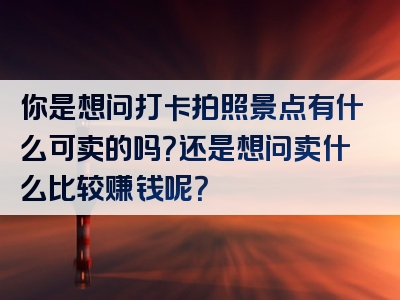 你是想问打卡拍照景点有什么可卖的吗？还是想问卖什么比较赚钱呢？