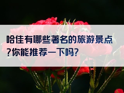 哈佳有哪些著名的旅游景点？你能推荐一下吗？