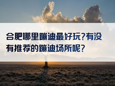合肥哪里蹦迪最好玩？有没有推荐的蹦迪场所呢？