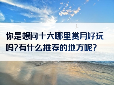 你是想问十六哪里赏月好玩吗？有什么推荐的地方呢？