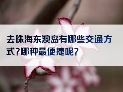 去珠海东澳岛有哪些交通方式？哪种最便捷呢？