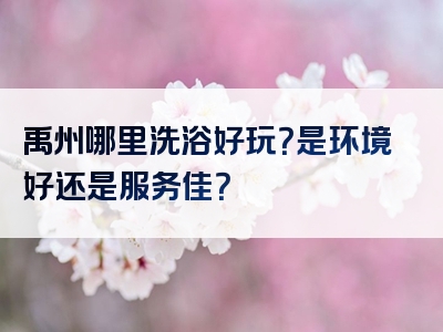 禹州哪里洗浴好玩？是环境好还是服务佳？