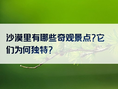 沙漠里有哪些奇观景点？它们为何独特？