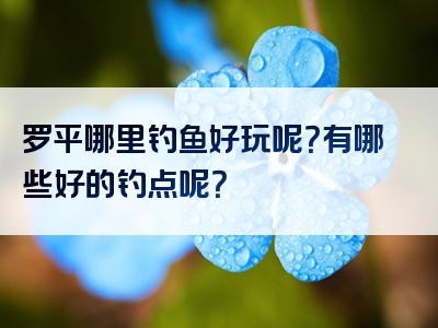 罗平哪里钓鱼好玩呢？有哪些好的钓点呢？