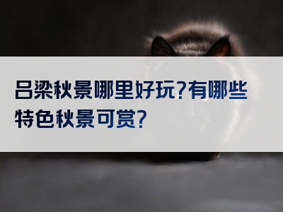 吕梁秋景哪里好玩？有哪些特色秋景可赏？