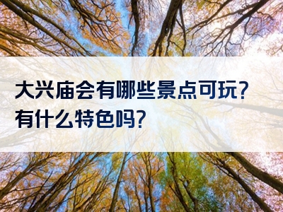 大兴庙会有哪些景点可玩？有什么特色吗？