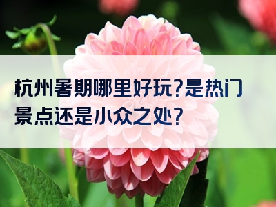 杭州暑期哪里好玩？是热门景点还是小众之处？