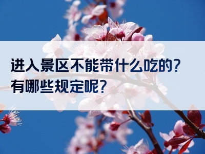 进入景区不能带什么吃的？有哪些规定呢？
