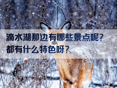 滴水湖那边有哪些景点呢？都有什么特色呀？