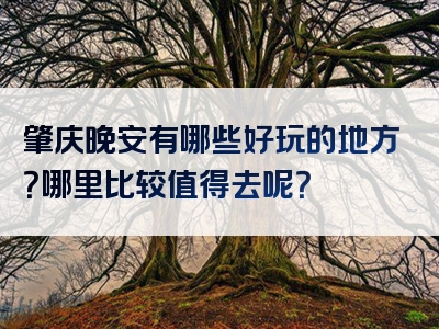 肇庆晚安有哪些好玩的地方？哪里比较值得去呢？