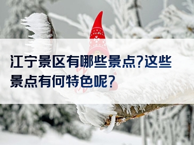 江宁景区有哪些景点？这些景点有何特色呢？