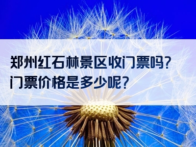 郑州红石林景区收门票吗？门票价格是多少呢？