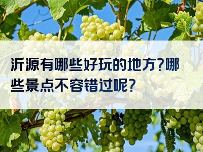 沂源有哪些好玩的地方？哪些景点不容错过呢？